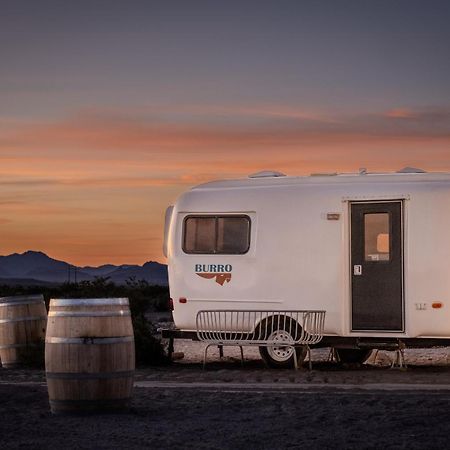 Tarantula Ranch Campground & Vineyard Near Death Valley National Park Amargosa Valley Eksteriør billede