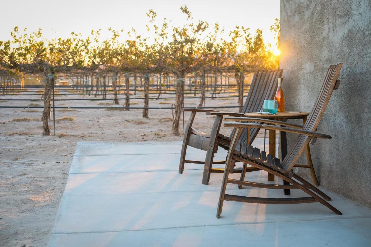 Tarantula Ranch Campground & Vineyard Near Death Valley National Park Amargosa Valley Eksteriør billede