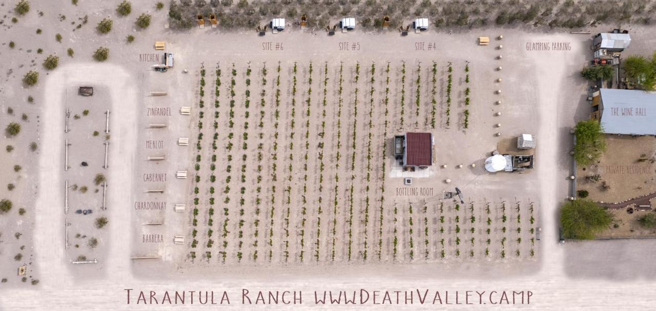 Tarantula Ranch Campground & Vineyard Near Death Valley National Park Amargosa Valley Eksteriør billede